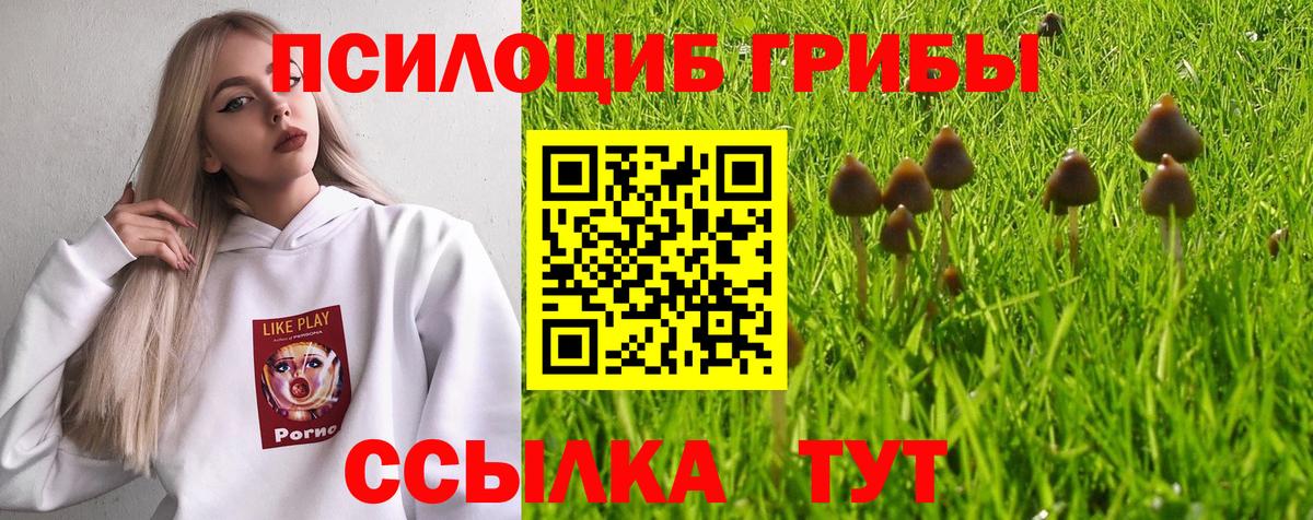 Галлюциногенные грибы Psilocybe  Вход с VPN  Галлюциногенные грибы ЛСД  Зеленодольск 